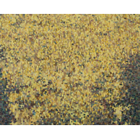 image of a painting titled untitled (yellow field)